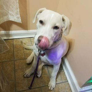 Meet your Posher, Aristea